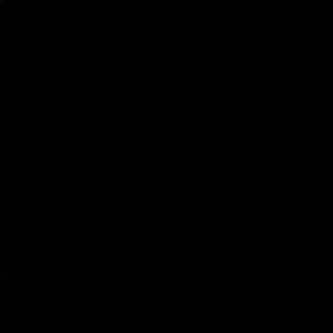 Meet your Posher, Shelby